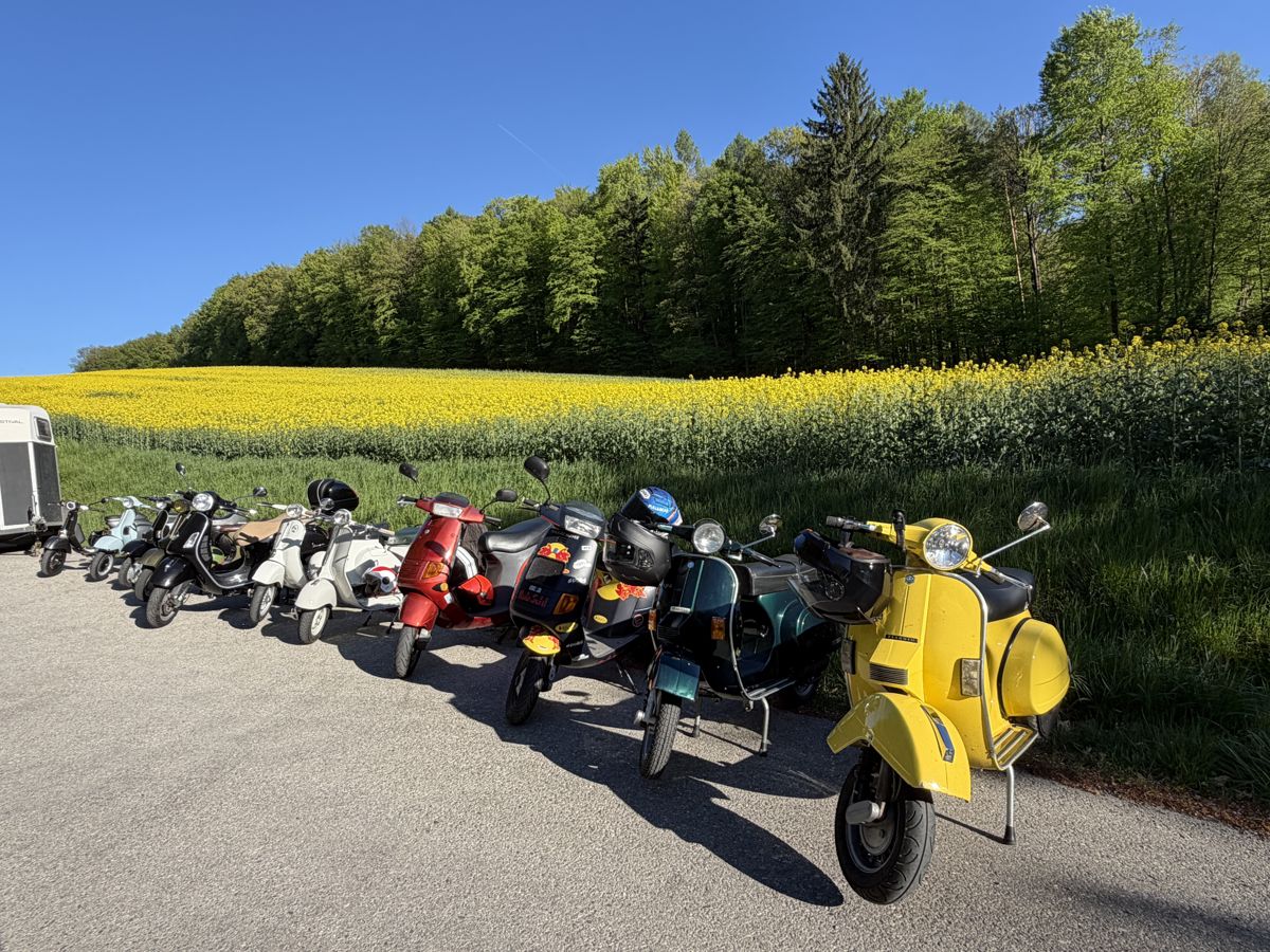 Vespas in einer Reihe vor einem blühenden Rapsfeld