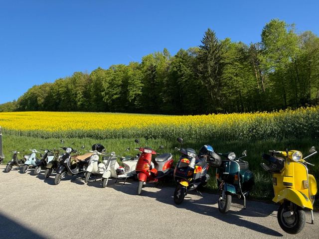 Vespas vor einem gelben Rapsfeld